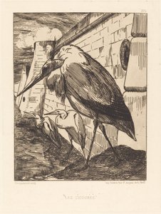 Die Störche von Felix Bracquemond