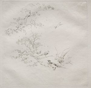 Pariser Service Haviland Service: Nebel Nr. 1, 1875 von Felix Bracquemond