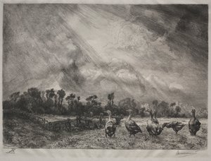 Die Sturmwolke, 1878-1887 von Felix Bracquemond