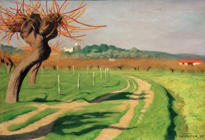 Tal der Cagne von Felix Edouard Vallotton