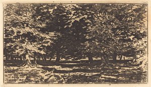 Wald