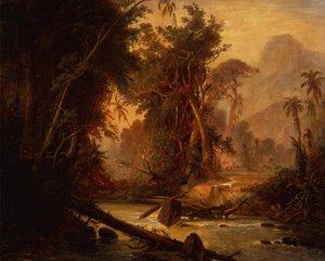 Ein tropischer Wald in Venezuela von Ferdinand Bellermann