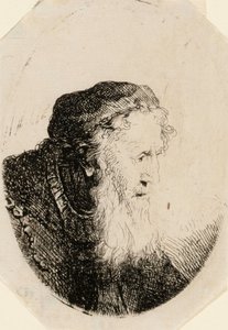 Alter Mann mit wallendem Bart von Ferdinand Bol