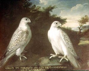 Paar von Gerfalken in einer Landschaft von Ferdinand Phillip de Hamilton