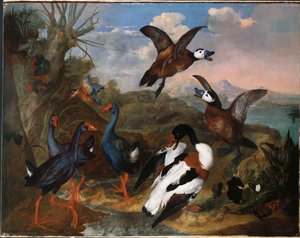 Brandgänse und andere Vögel in einer Landschaft, 1720