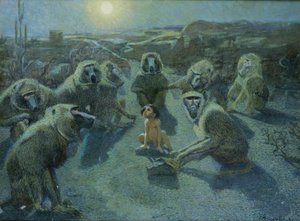 Mowgli von Affen gefangen