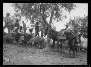 Auf dem Rübenmarkt in Assisi von Ferdinand Schmutzer