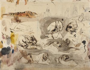 Skizzen von Tigern und Männern in Kostümen des 16. Jahrhunderts von Ferdinand Victor Eugene Delacroix
