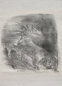 Das wilde Pferd oder erschrockenes Pferd verlässt das Wasser, 1828 von Ferdinand Victor Eugene Delacroix