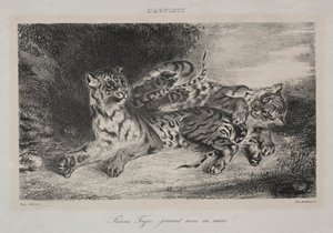 Junger Tiger spielt mit seiner Mutter, 1831