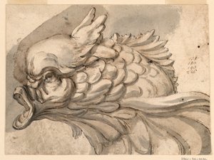 Kopf eines Delfins von Filippo Marchionni