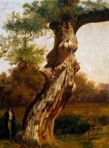 Der Baum