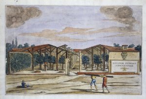 Ein überdachter Obstgarten, aus Hesperides von Giovanni Battista Ferrari, gestochen von Camillo Congio, veröffentlicht 1646 (handkolorierter Stich)