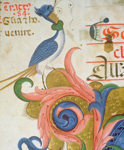 Missale 515 f.28v Fantastischer Vogel mit menschlichem Kopf, Detail aus einem Chorbuch von Filippo di Matteo Torelli