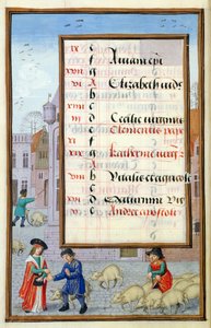 Ms 1058-1975 f11v Schweineverkauf auf dem Markt, illuminierte Kalenderseite für November, aus einem Stundenbuch, ca. 1500