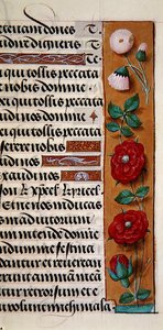 Ms. 1058-1975, f.120r: (Detail) einer floralen Bordüre aus einem Stundenbuch, ca. 1500 von Flemish School