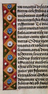 Ms. 1058-1975, f.16r: (Detail) einer Blumenbordüre aus einem Stundenbuch, ca. 1500 von Flemish School
