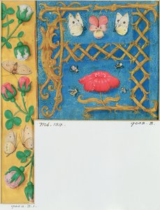 Illuminierter Buchstabe 
