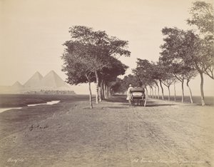 Kairo. Allee der Pyramiden, ca. 1870