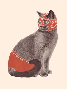 Katzenringer
