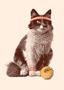 Tennis Katze, 2021