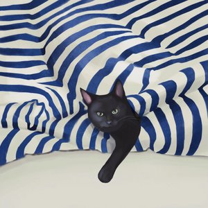 Neugierige schwarze Katze