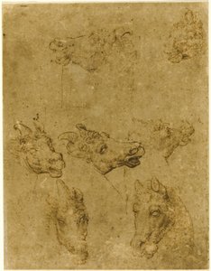 Köpfe von Pferden und Einhörnern von Follower of Leonardo da Vinci