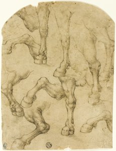 Skizzen von Pferde- (oder Dromedar-) Beinen (recto); Säulen (verso) von Follower of Leonardo da Vinci