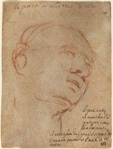 Kopf eines Mannes von Follower of Michelangelo