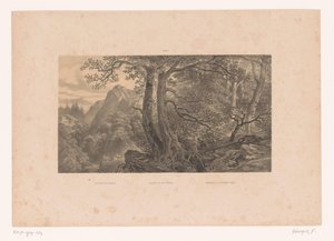 Zwei Jäger in einem Wald in den Pyrenäen