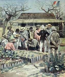 Die Franzosen geben den Einheimischen in Madagaskar 1897 Landwirtschaftsunterricht (Gravur)