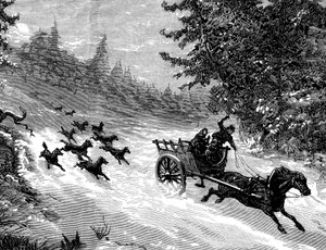 Die Angst vor dem Wolf: Ein Wolfsrudel verfolgt einen Wagen mit drei Personen, gezogen von einem Pferd, das im Schnee in einem Wald in den Ardennen davonläuft - Stich von Meaulle in „Das illustrierte Universum“ Nr. 918, Januar 1872 - von Fortune Louis Meaulle
