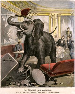 Ein unbequemer Elefant: Der Dickhäuter entkommt aus einer Zirkusmenagerie und zerstört alles im Café von Pre-Catelan in Toulouse. Gravur von Meaulle und Meyer auf der letzten Seite des PETIT JOURNAL Beilagenhefts Nr. 51 vom 14. November