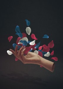 Elegante Hand Schwebende Blütenblätter von Fran Rodríguez