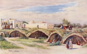 Die alten punischen Zisternen, Karthago von Frances Nesbitt