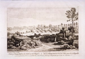 Blick auf Hampstead Heath, Hampstead, London