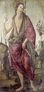 Johannes der Täufer von Francesco Botticini