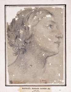 Der Kopf einer Frau, im Profil nach rechts von Francesco Giovanni Gessi