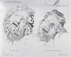 Köpfe von Laokoon und sterbendem Zentaur von Canova von Francesco Hayez