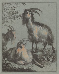Drei Ziegen von Francesco Londonio