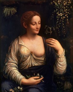 Flora, ca. 1510-1515 von Francesco Melzi