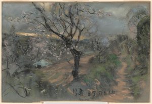 Ein Hangweg mit blühenden Kirschbäumen unter einem bewölkten Himmel