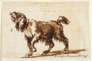 Heulender Hund (recto), ca. 1700-50 (schwarze Kreide, Stift & braune Tinte, braune Waschung, Graphit auf Papier) von Francesco Simonini
