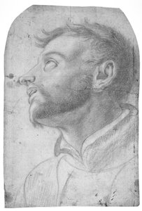 Kopf eines Mannes, der nach oben schaut von Francesco Solimena