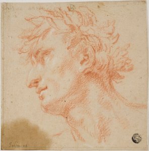 Profil eines männlichen Kopfes, gekrönt mit Lorbeerblättern von Francesco Solimena