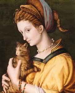 Dame mit einer Katze, ca. 1525-30