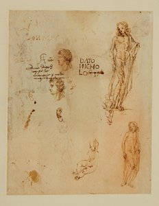 Drei Profile; Ohren; zwei Apollos von Francesco di Simone (attr. to)