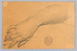 Studie von Hand und Handgelenk
