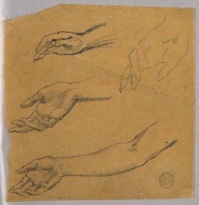 Drei Studien einer Hand und eines Arms