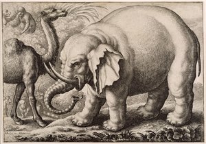 Ein Elefant und ein Kamel, graviert von Wenceslaus Hollar (1607-77) 1663 von Francis Barlow